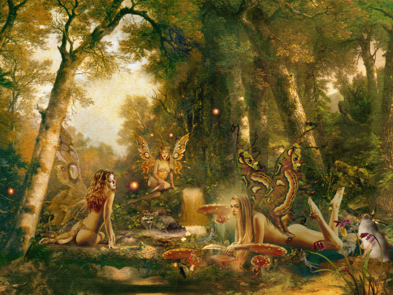 Illustration for article titled Girl Faeries